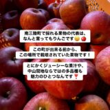 南三陸町のりんご
