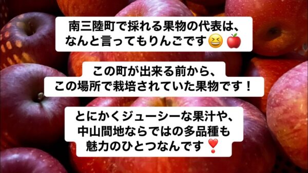 南三陸町のりんご
