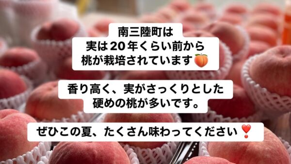 南三陸町の桃