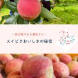 ⁡ ⁡ 南三陸スイーツピクニック2026 ももフェア🍑✨ ⁡ 🗓️ 2026年8月8日（土）〜 📍 南三陸町内 9店舗にて ⁡ @msr_sweets ⁡ 南三陸の旬のもも使った 期間限定スイーツが登場！🍰🍨🧁 ⁡ ⁡ ――――――――――――――― ⁡ 💭スイピクおいしさの秘密 スイピクで使われている桃を生産している農家さんをご紹介🌿 愛情たっぷり育てられている南三陸の桃🍑 地域の資源を活かし、一つ一つ丁寧に。 そんな桃が、とれたてですぐにスイーツになるから よりおいしさがギュッと引き立ちます🫧 　 　　 今年は雨が多く、実がなっても落ちてしまったり、 色つきが悪かったり、自然と隣り合わせの農業は、 思うように育たないことも。 それでも今年も美味しく実ってくれた桃たち🍑 町内の直売所で桃も販売中なので、 お見かけの際にはぜひ！🤭 ⁡ ――――――――――――――― ⁡ 「生産者と町のスイーツ店をつなぎ、 スイーツの力で南三陸を元気にしたい」 ⁡ そんな思いから始まったスイーツフェア 【南三陸スイーツピクニック】 ⁡ 南三陸といえば海のイメージが強いですが、 町内では果物やさつまいもも大切に育てられています。 ⁡ 農家さんが育てた旬の素材を使い、 地元のスイーツ店が心を込めて作る季節限定の オリジナルスイーツを楽しめるのがこの企画。 ⁡ スイーツを味わうことで、 地域や生産者さんの応援にもつながります🤝 ⁡ ⁡ ――― 開催スケジュール ――― 🍑ももフェア：8/8（土）〜 🍇ぶどうフェア：9/12（土）〜 🍠さつまいもフェア：10/17（土）〜 🍎りんごフェア：11/14（土）〜 ――――――――――――――― ⁡ ⁡ #スイピク #南三陸スイーツピクニック #南三陸町 #ももフェア #宮城カフェ