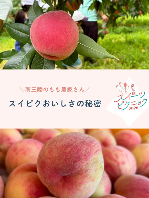 ⁡⁡南三陸スイーツピクニック2026ももフェア🍑✨…