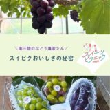⁡ ⁡ ⁡ ⁡ 南三陸スイーツピクニック2026 ぶどうフェア🍇✨ ⁡ 🗓️ 2026年9月12日（土）〜 📍 南三陸町内 9店舗にて ⁡ @msr_sweets ⁡ 南三陸の旬のぶどうを使った 期間限定スイーツが登場！🍰🍨🧁 ⁡ ⁡ ――――――――――――――― ⁡ 💭スイピクおいしさの秘密 ⁡ スイピクで使われているぶどうを 生産している農家さんをご紹介🌿 ⁡ 愛情たっぷり育てられている南三陸のぶどう🍇 地域の資源を活かし、一つ一つ丁寧に。 ⁡ そんなぶどうが、とれたてですぐにスイーツになるから よりおいしさがギュッと引き立ちます🫧 　 町内の直売所でぶどうも販売されているので、 お見かけの際にはぜひ！🤭 ⁡ ――――――――――――――― ⁡ 「生産者と町のスイーツ店をつなぎ、 スイーツの力で南三陸を元気にしたい」 ⁡ そんな思いから始まったスイーツフェア 【南三陸スイーツピクニック】 ⁡ 南三陸といえば海のイメージが強いですが、 町内では果物やさつまいもも大切に育てられています。 ⁡ 農家さんが育てた旬の素材を使い、 地元のスイーツ店が心を込めて作る季節限定の オリジナルスイーツを楽しめるのがこの企画。 ⁡ スイーツを味わうことで、 地域や生産者さんの応援にもつながります🤝 ⁡ ⁡ ――― 開催スケジュール ――― 🍑ももフェア：8/8（土）〜 🍇ぶどうフェア：9/12（土）〜 🍠さつまいもフェア：10/17（土）〜 🍎りんごフェア：11/14（土）〜 ――――――――――――――― ⁡ ⁡ #スイピク #南三陸スイーツピクニック #南三陸町 #ぶどうフェア #宮城カフェ