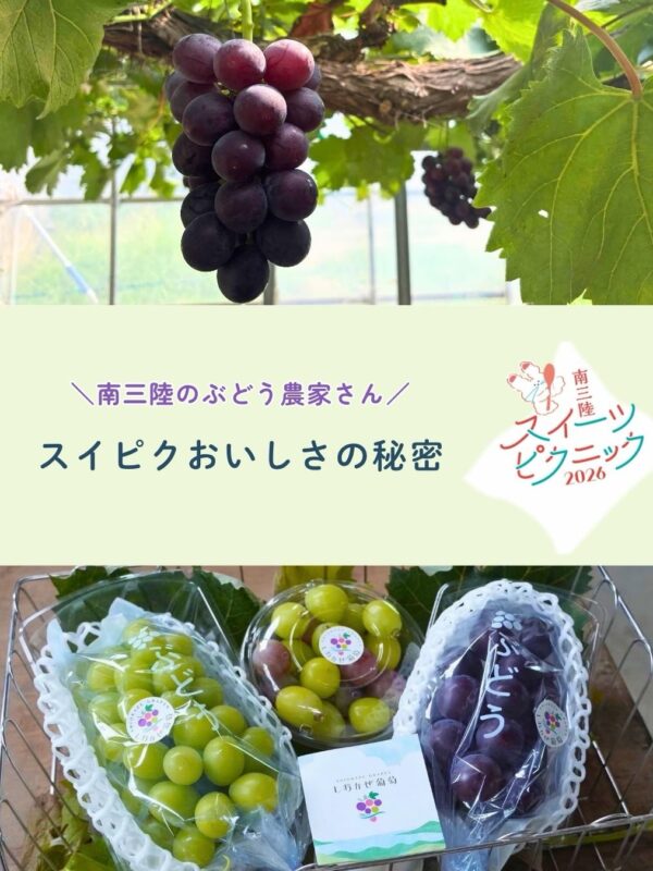 南三陸スイーツピクニック2026ぶどうフェア🍇✨…